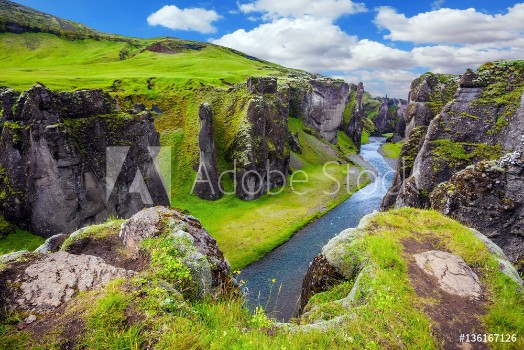 Picture of Green Tundra in summer